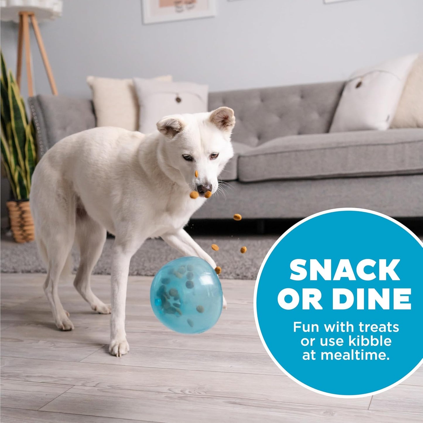by Planet Dog Snoop Interactive Treat Dispensing Dog Toy, Large, Blue