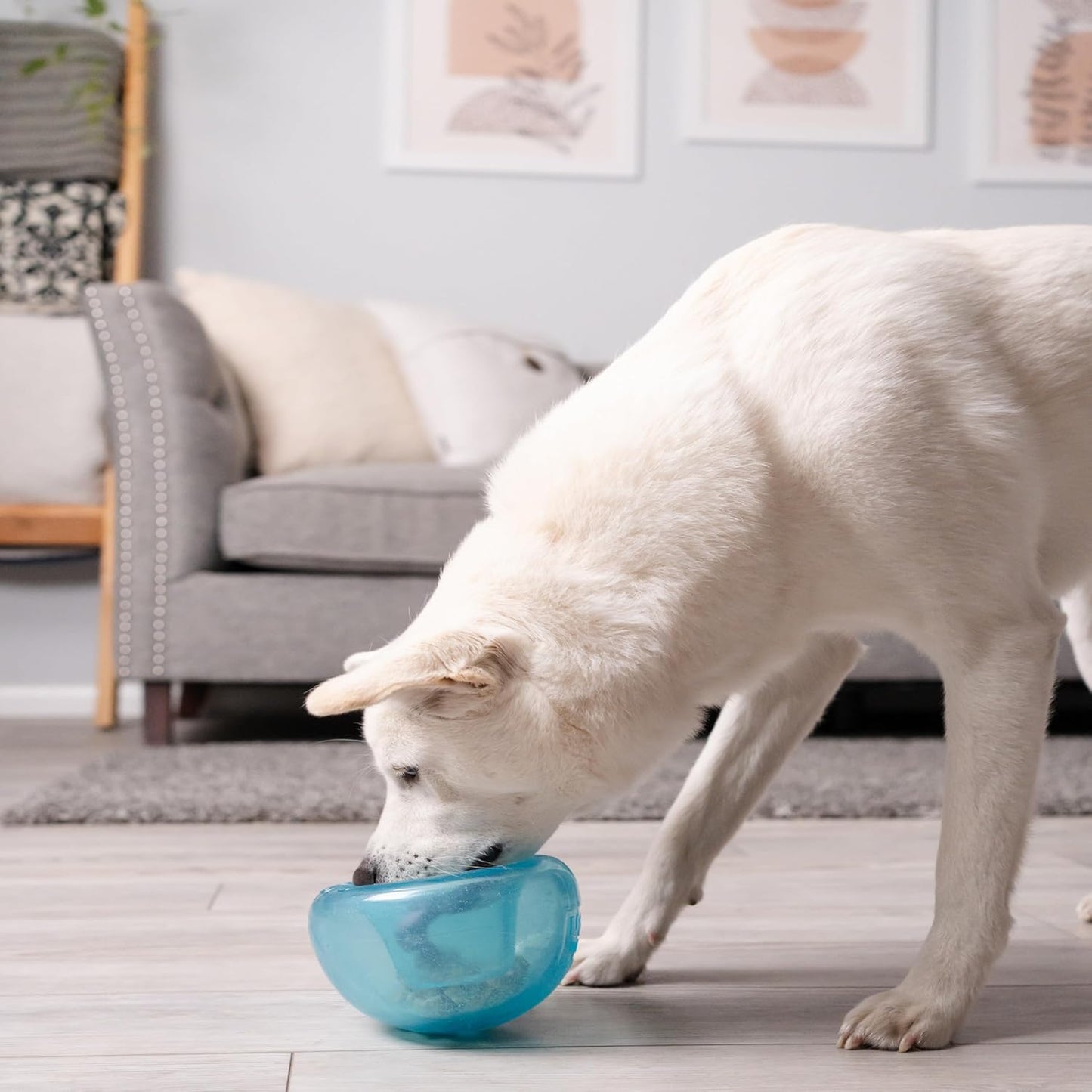 by Planet Dog Snoop Interactive Treat Dispensing Dog Toy, Large, Blue