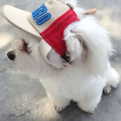 Dog Baseball Cap