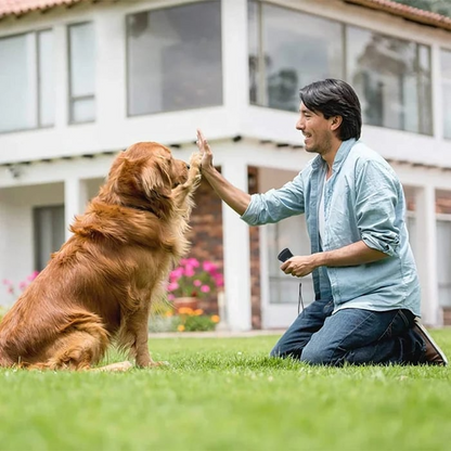 Ultrasonic Anti Barking Dog Device