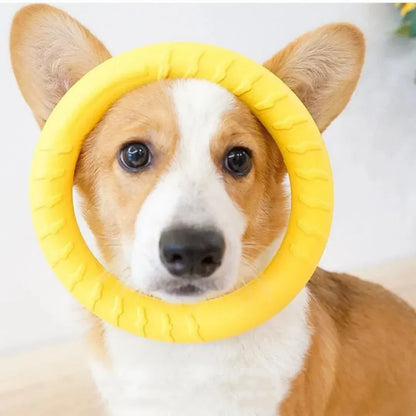 Dog Ring Toys Training Tool