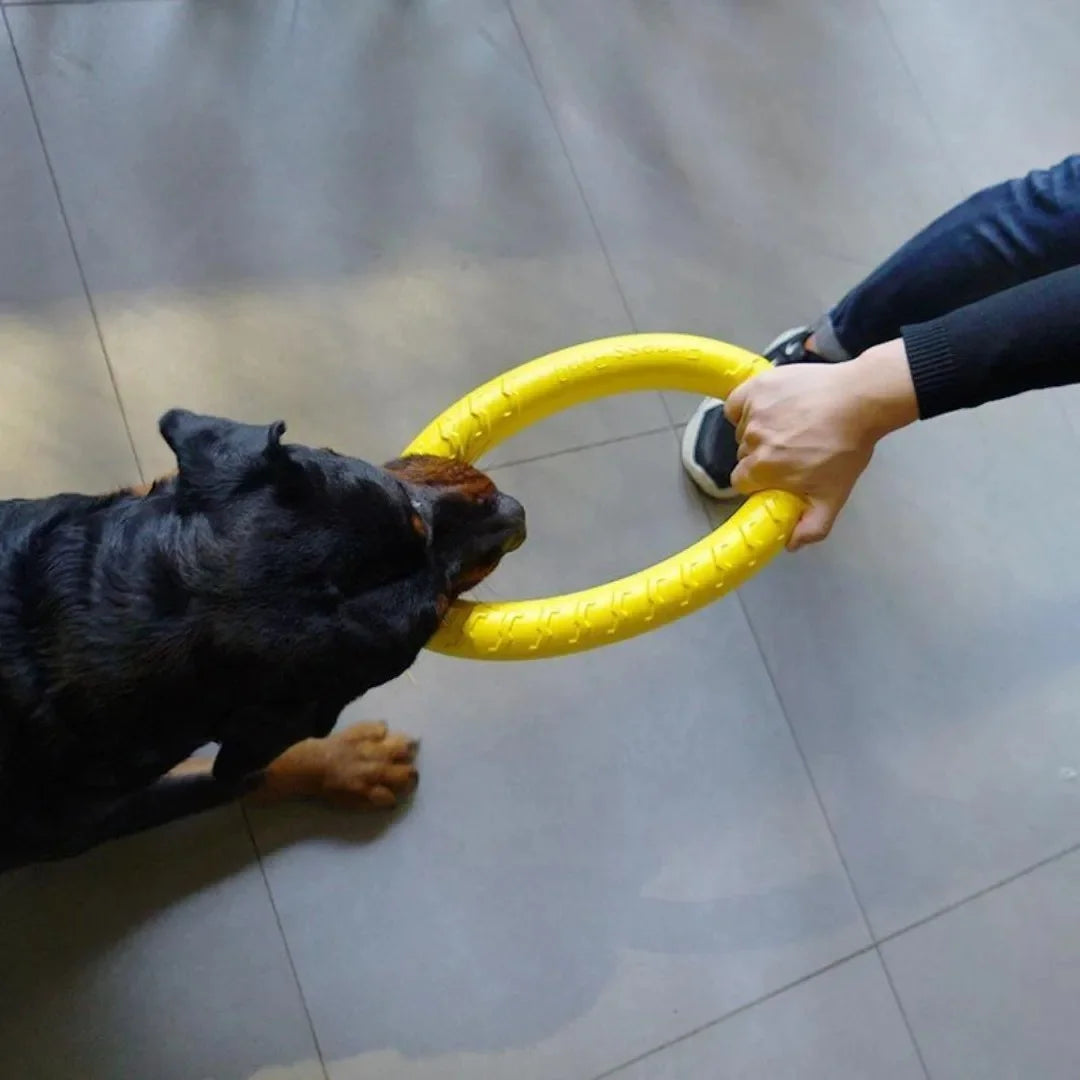 Dog Ring Toys Training Tool